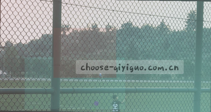 全球数据透析 行业演进脉络